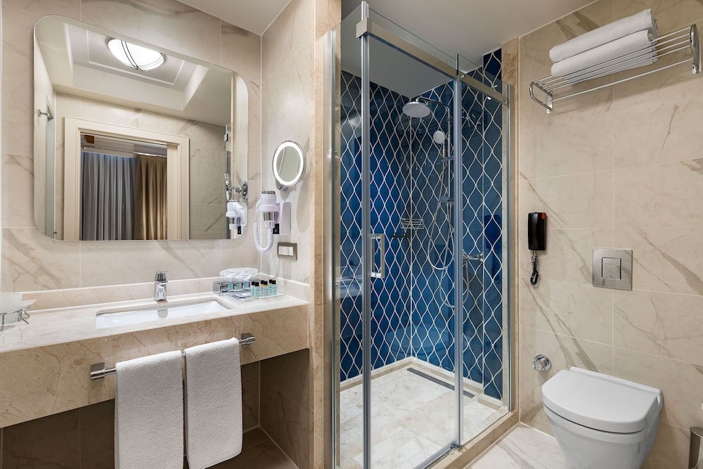 Titanic City Taksim Hotel 23/73