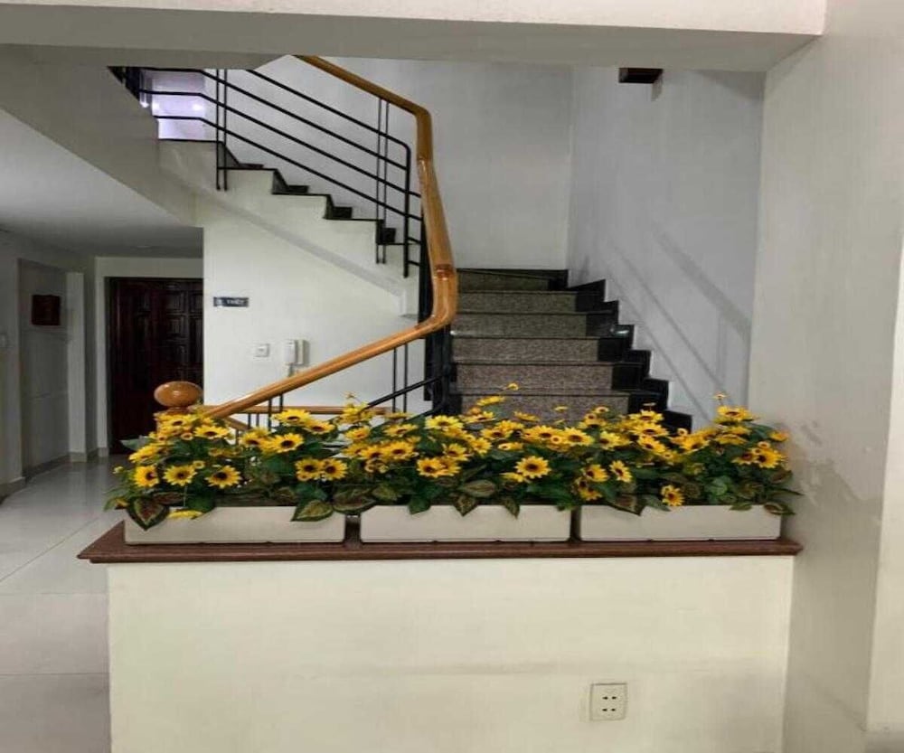 Collection O Dinh Dinh Hotel - Near Tan Son Nhat Airport 8/51