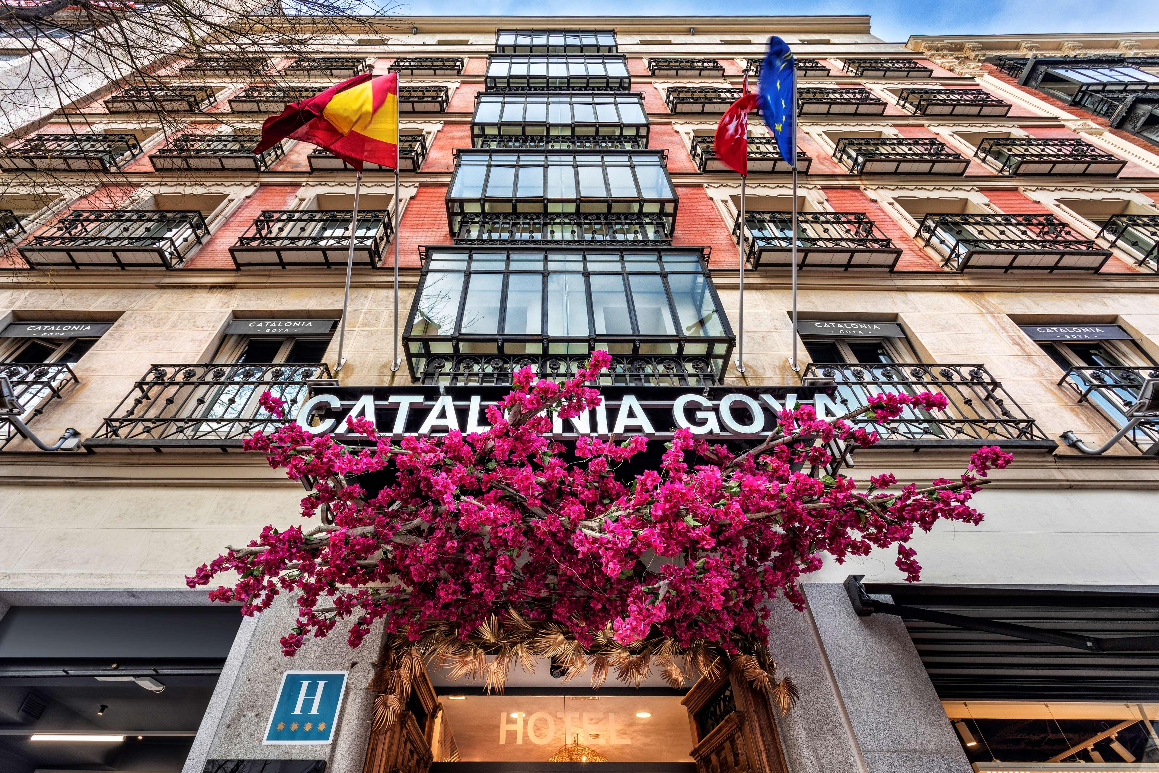 Catalonia Goya in MADRID