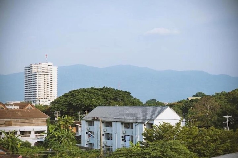 Double Tree House 79/84
