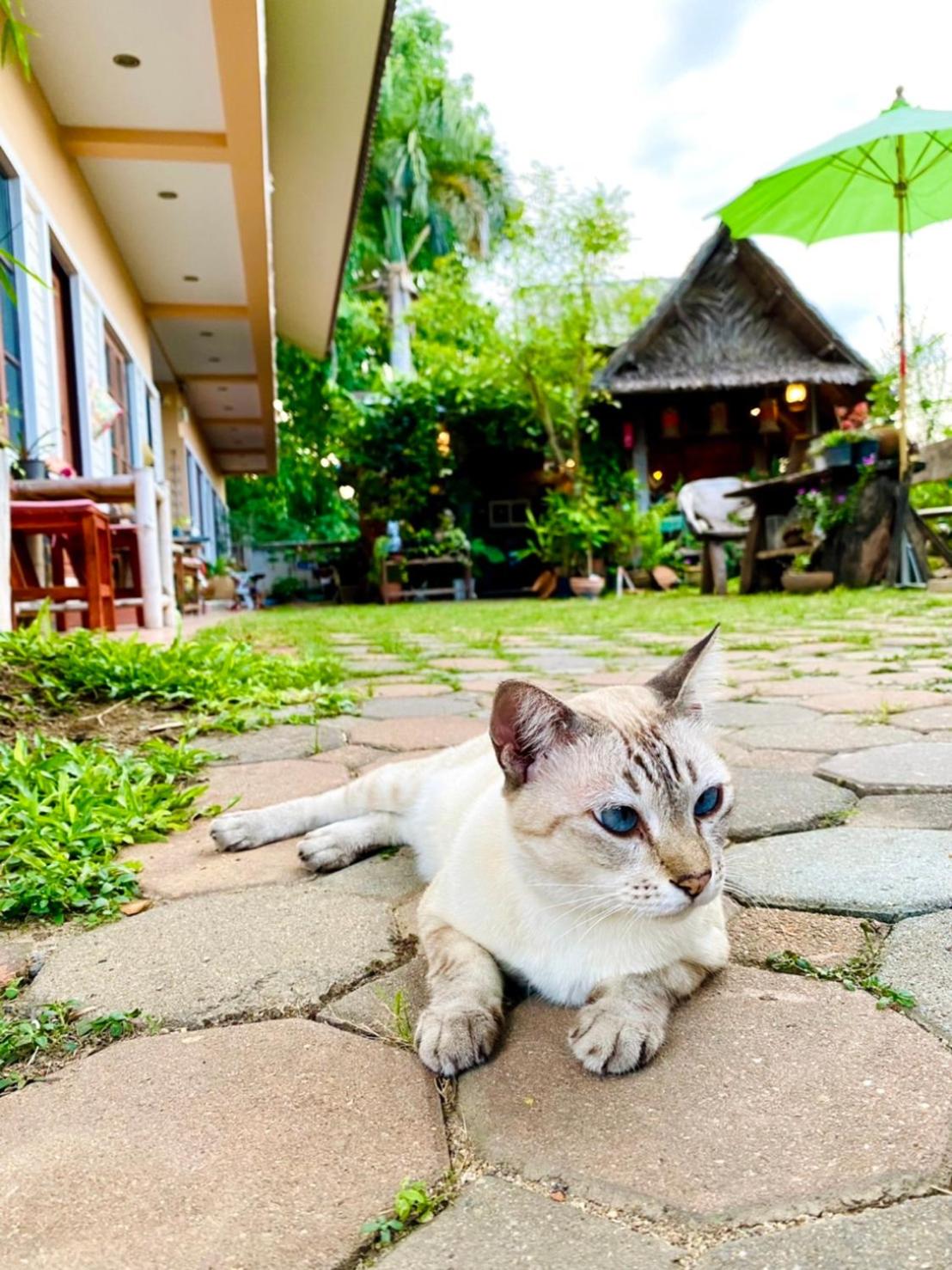 Thai Guesthouse Kanchanaburi 40/41