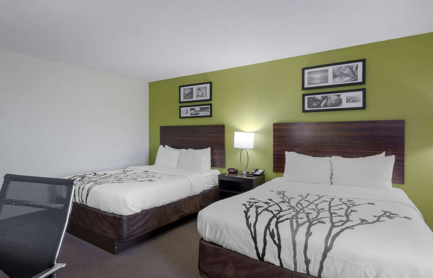 Room, 2 Queen Beds, Accessible