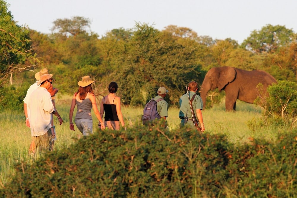 Rhino Walking Safaris 37/41