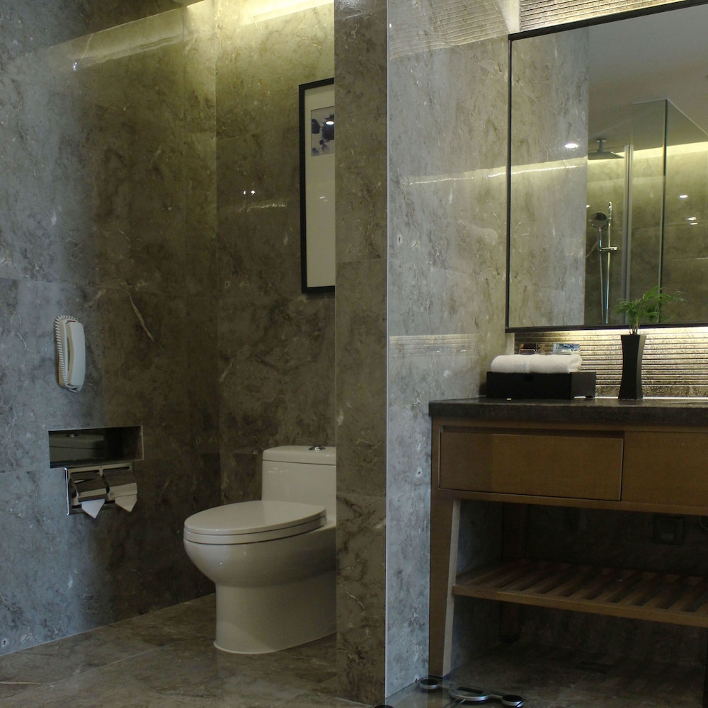 Wanyue Grand Skylight Hotel Shenzhen 46/50