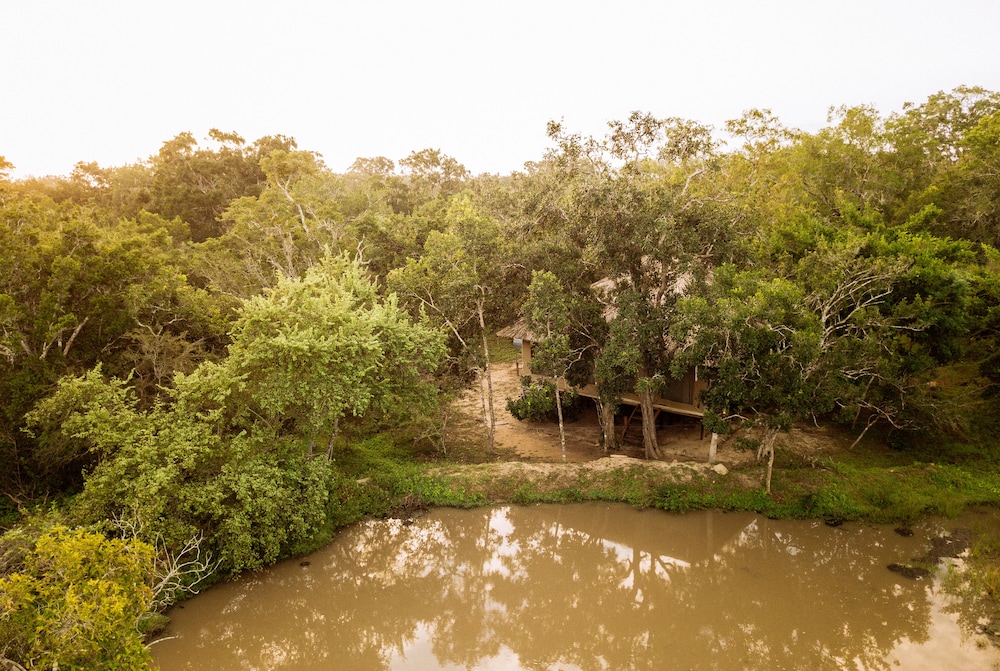 Yala Safari Camping 32/50
