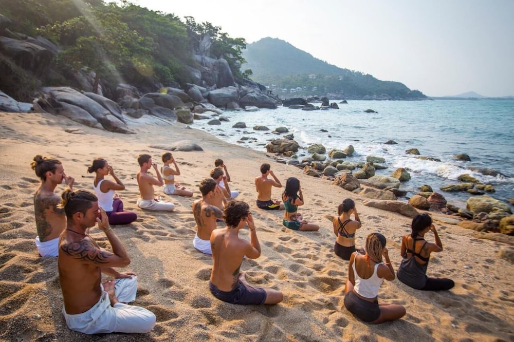 Vikasa Yoga Retreat 31/50