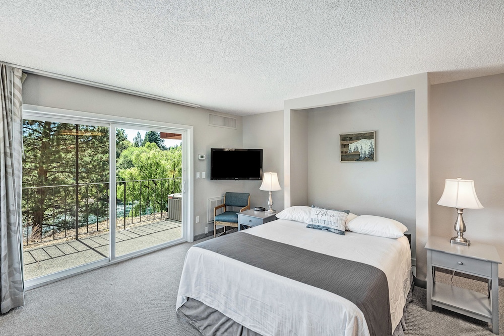 Classic, Studio, Queen Murphy Bed