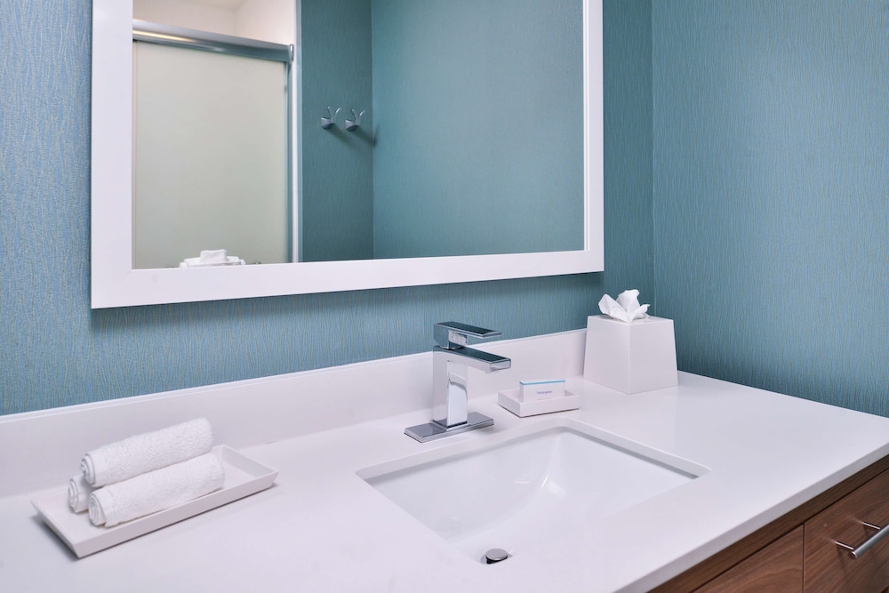 Home2 Suites By Hilton Tampa Downtown Channel District 25/73