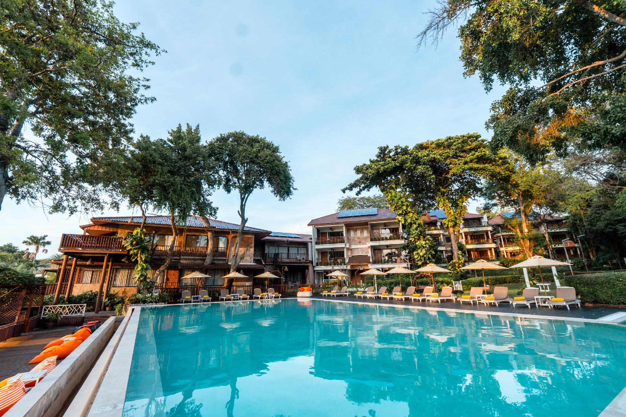 1 Bedroom, Tree Top, Suite