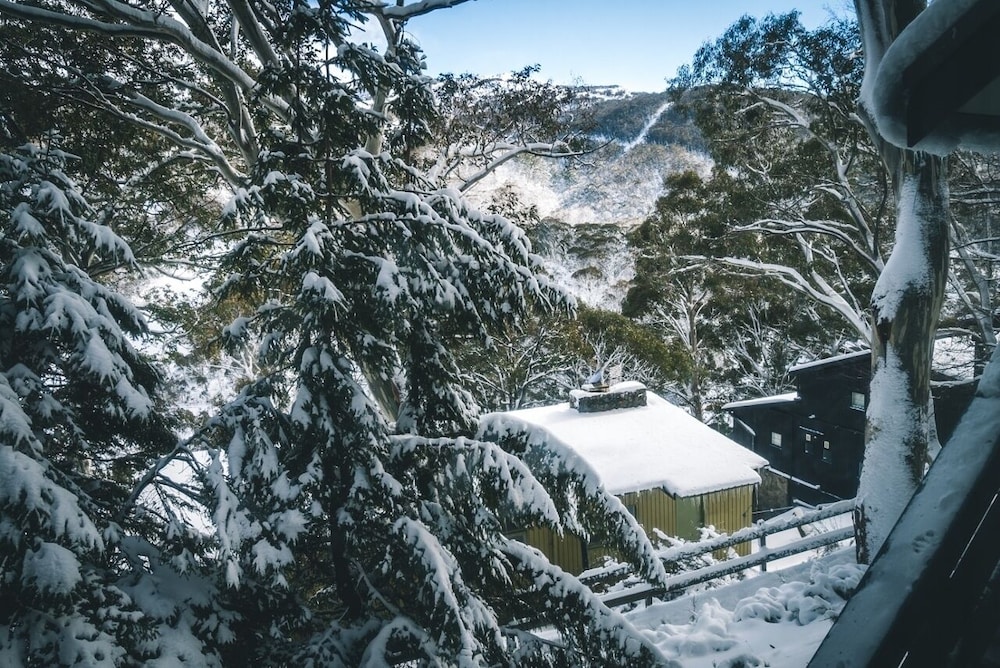 Pure Chalet 29/40