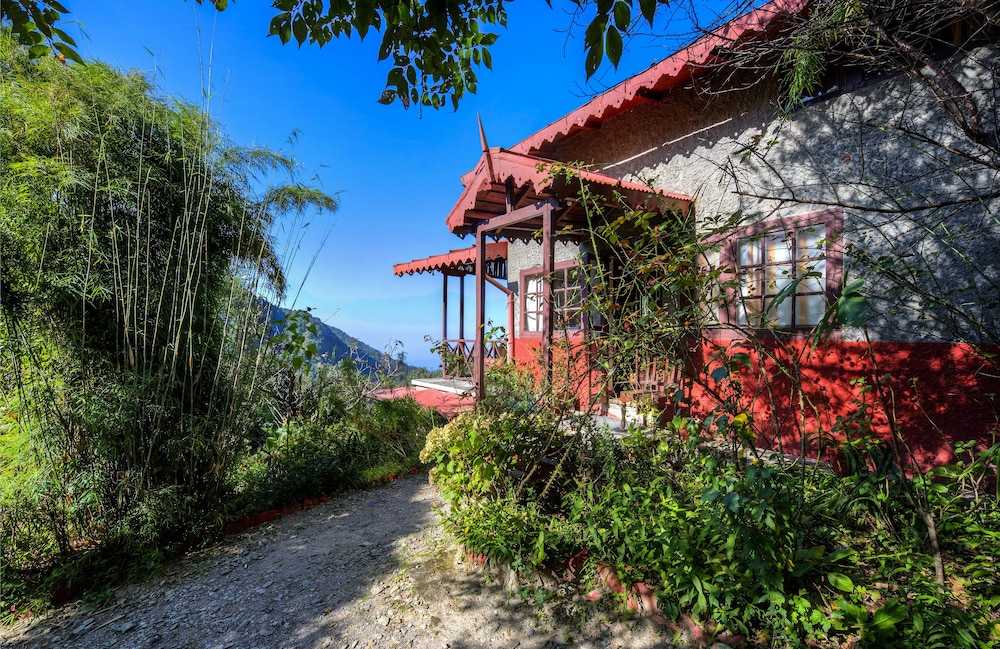 Jungle Lore Birding Lodge 26/29