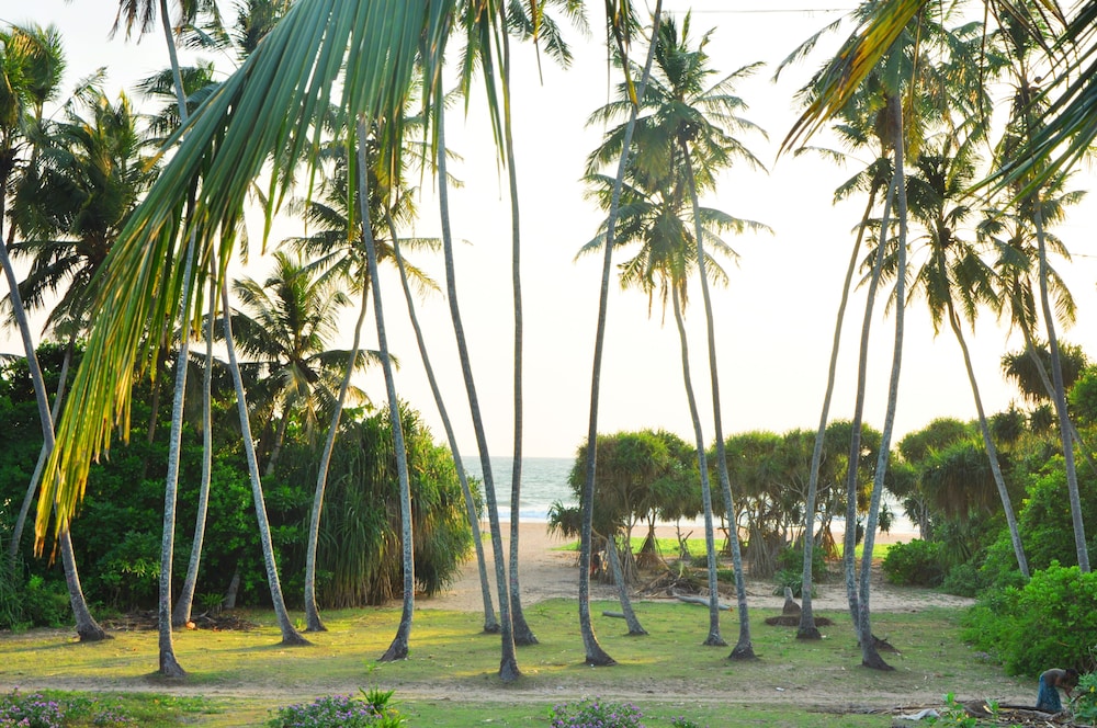 Ocean View 42/50
