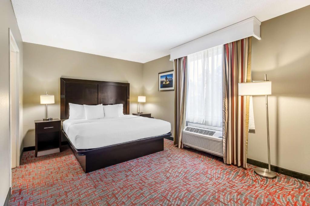 SUITE, KING BED