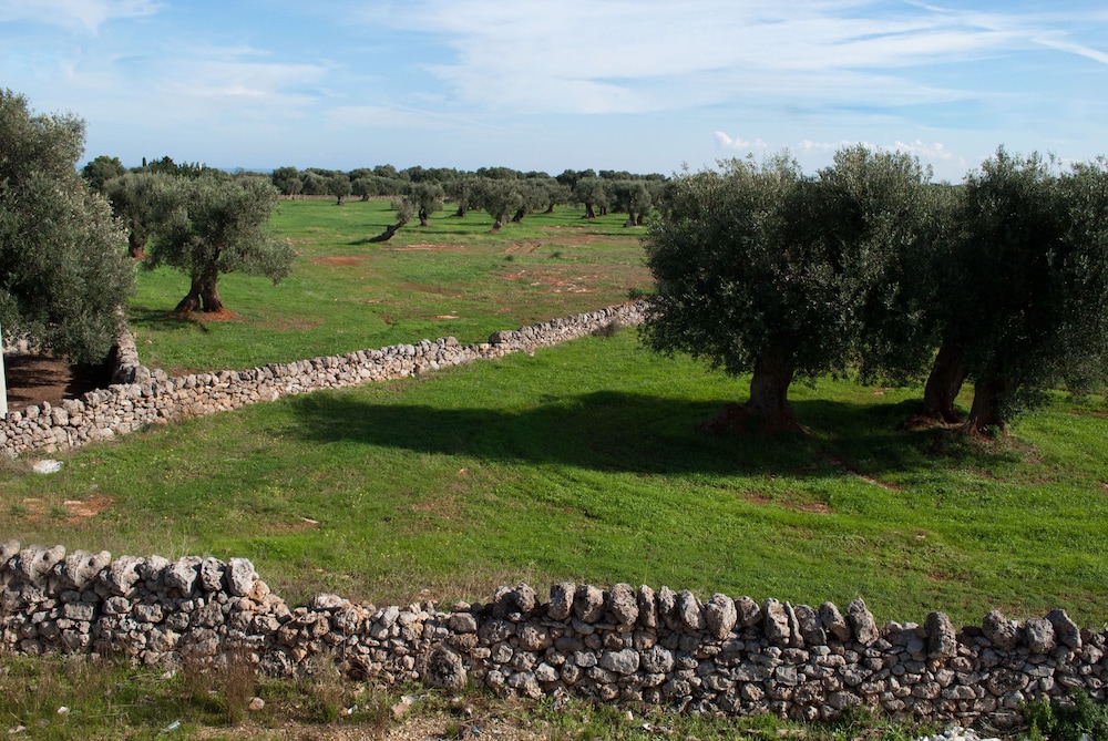 Masseria Lama D'Impisa 27/36