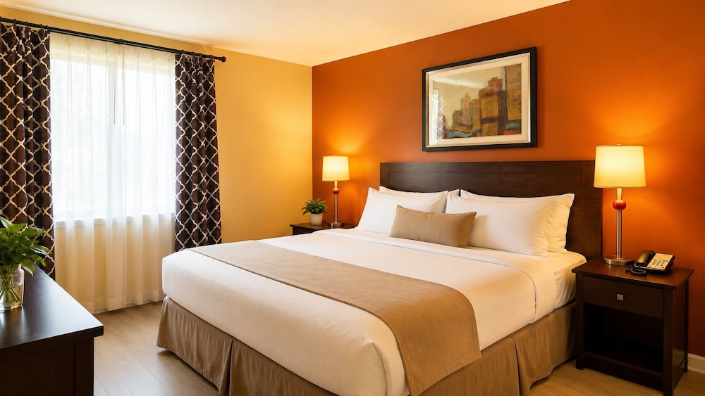 Hotel Boston 18/50