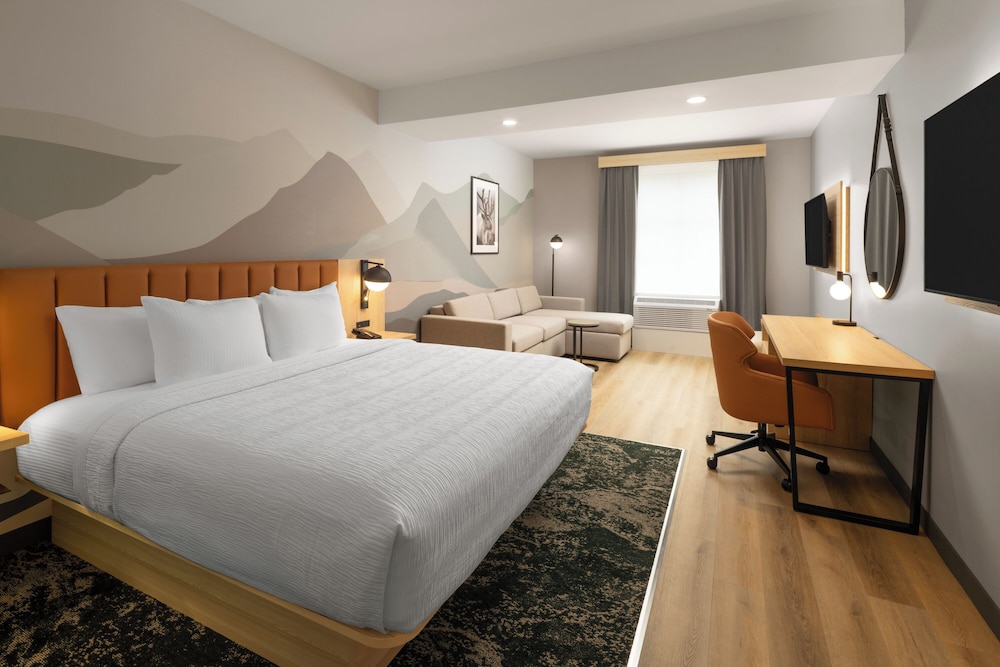 Suite, King Bed