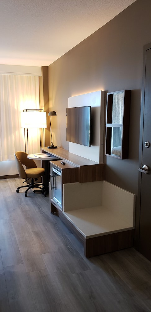 Wyndham Garden Fort Lauderdale Airport & Cruise Port 28/42