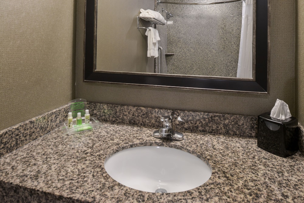 Holiday Inn Ontario Airport 28/73
