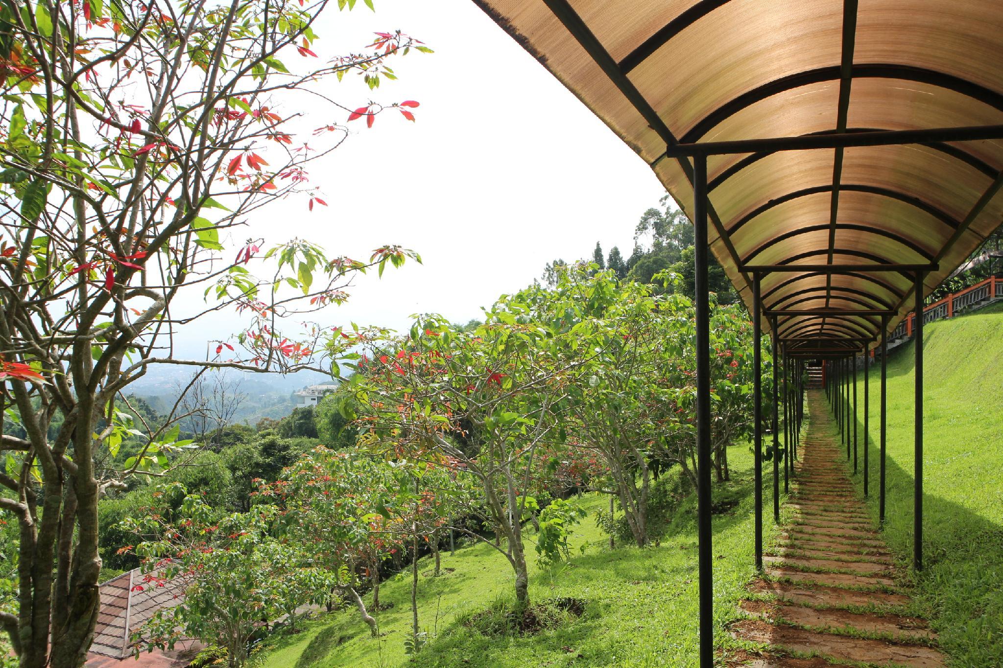 Kastuba Resort 39/50