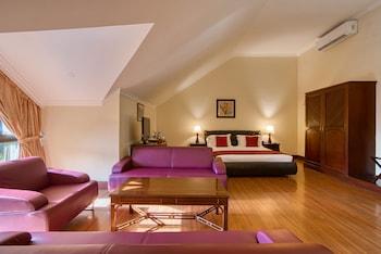 Family, Multiple Beds