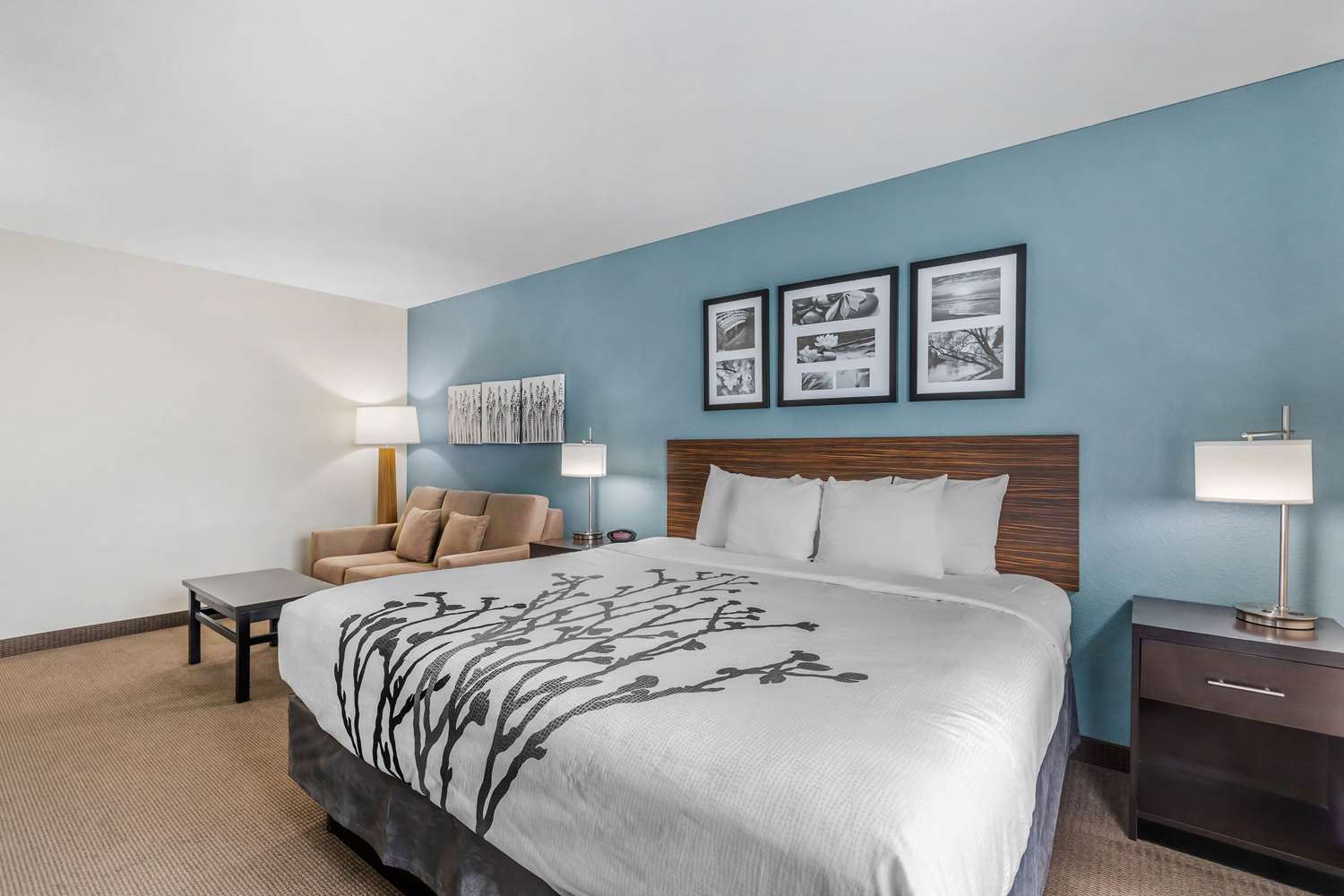 Suite, King Bed