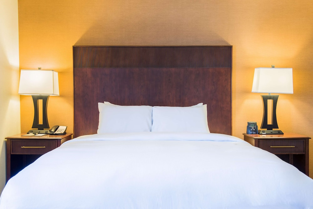 Hilton Philadelphia Airport 15/73
