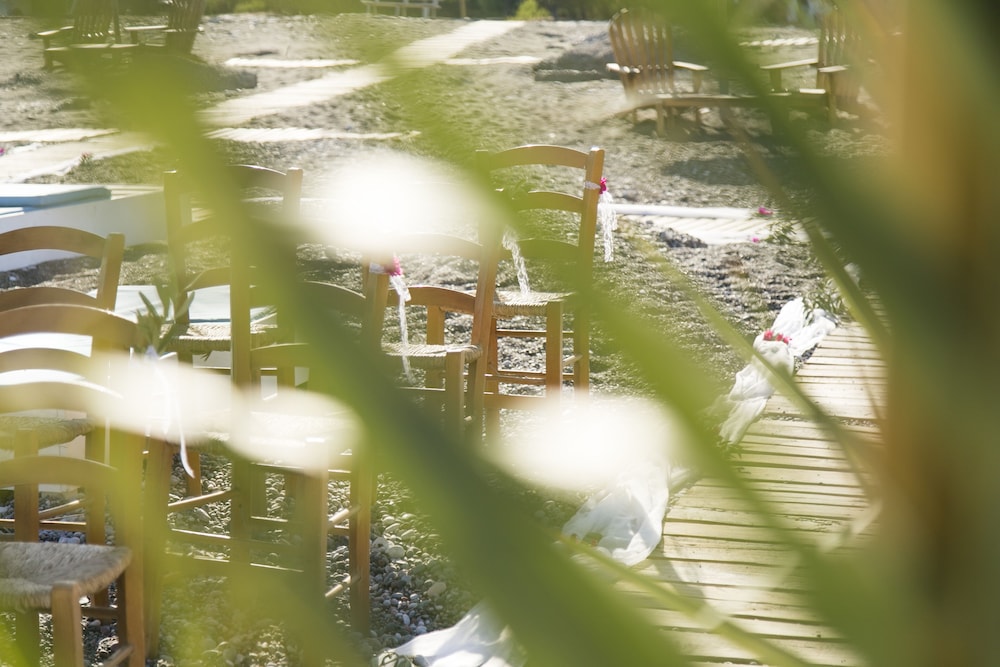 Eco Beach And Magic Garden 38/50