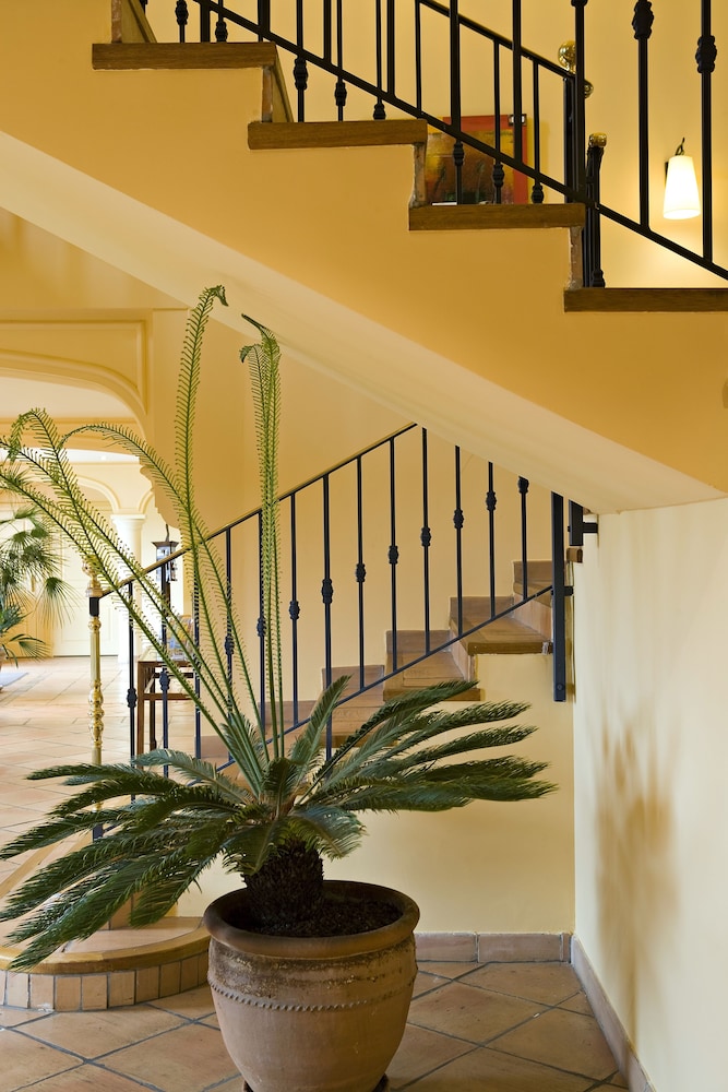 Le Palmyra Golf Hotel 18/50