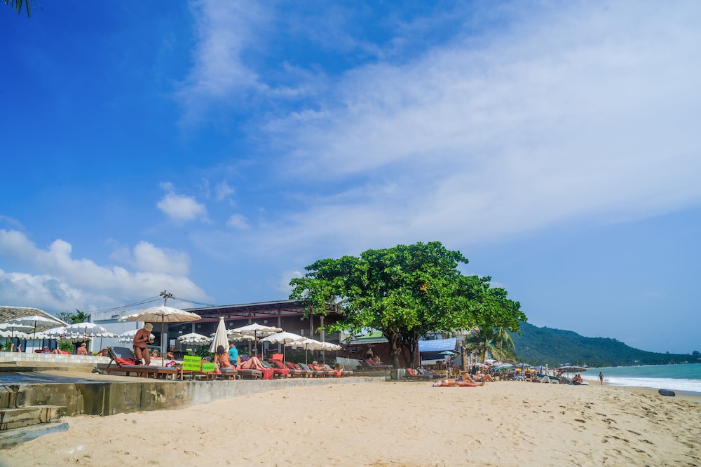 The Hive Hotel Samui 69/71