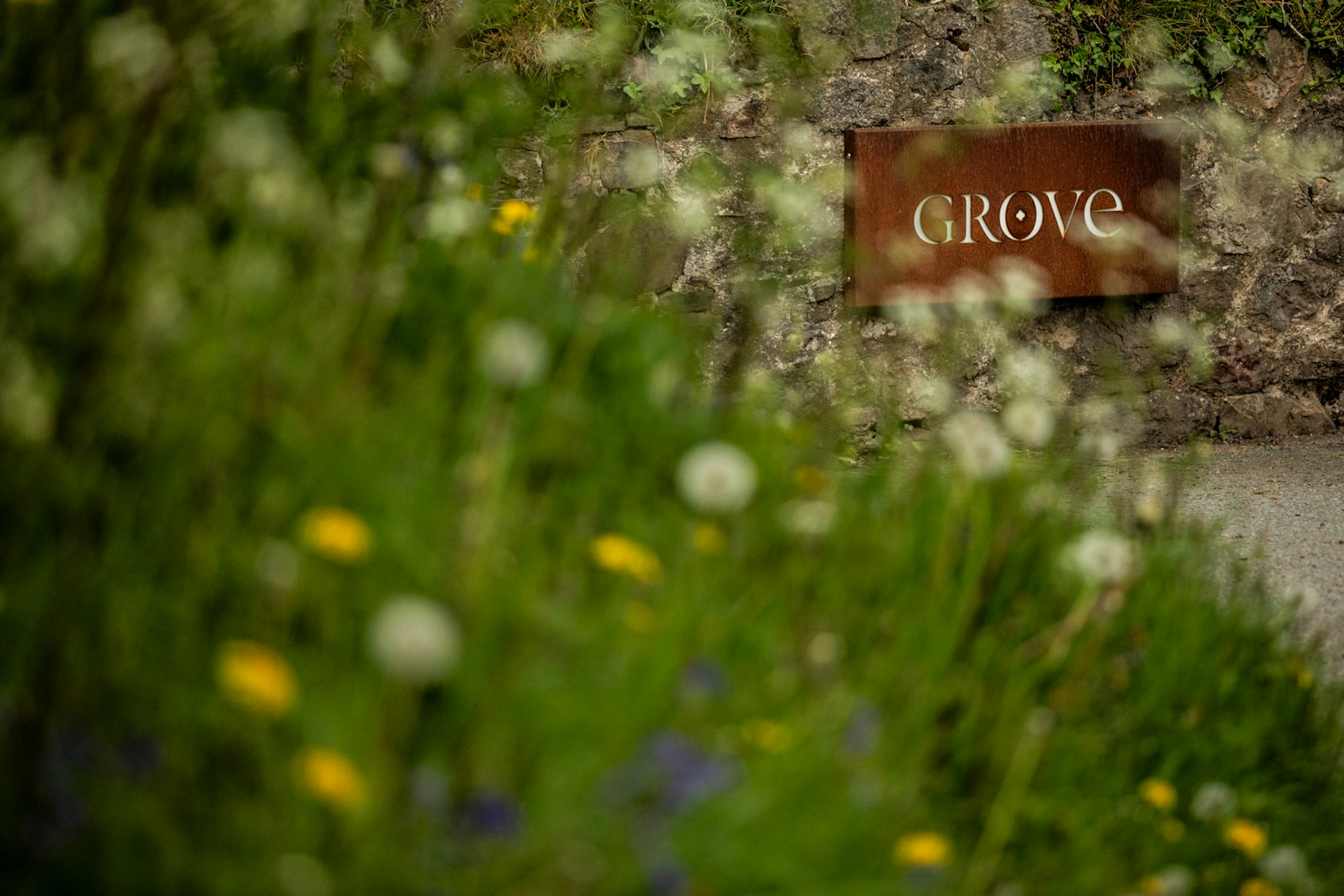 Grove Of Narberth 33/35