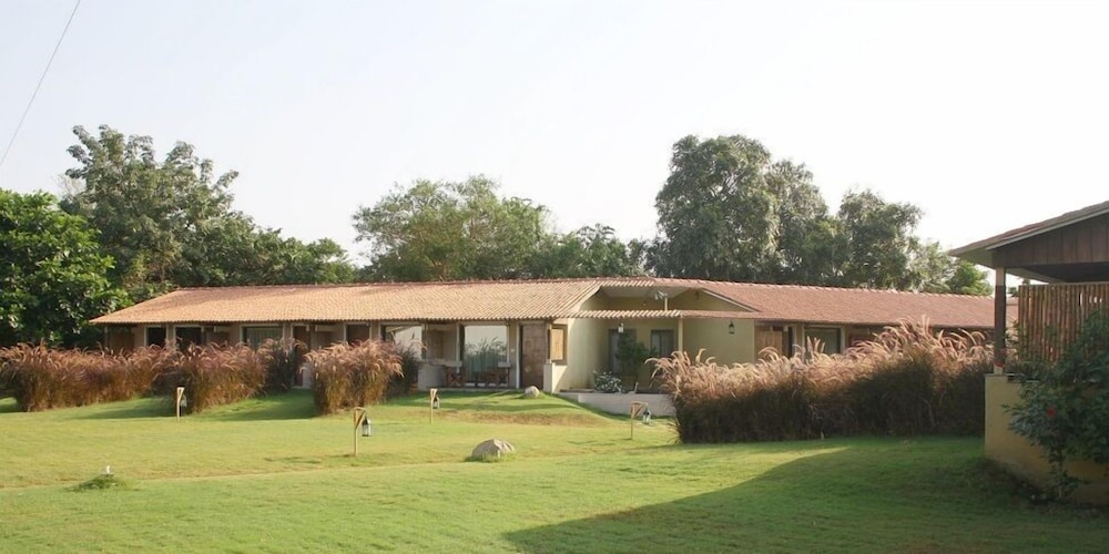 Asiatic Lion Lodge 41/50