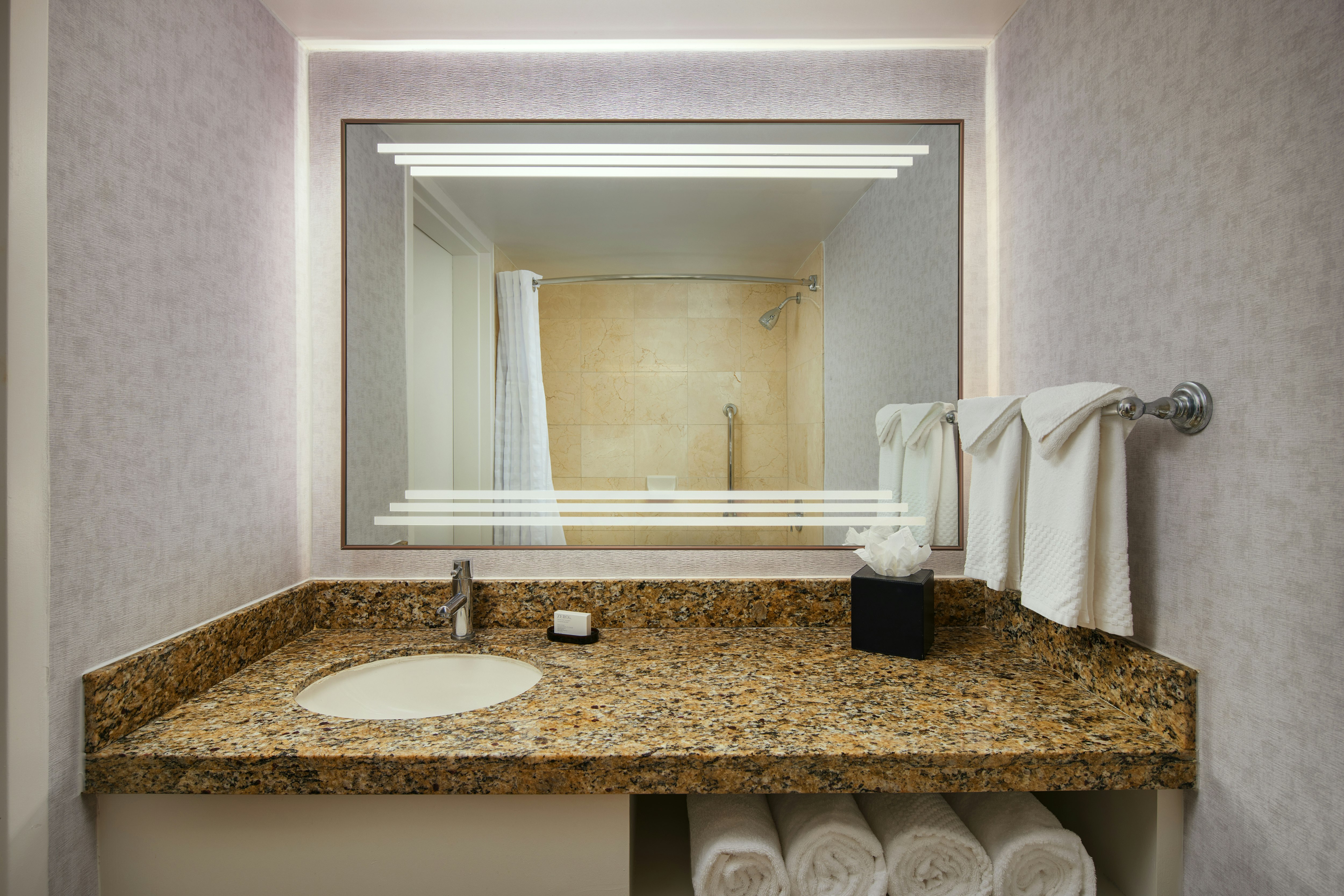 جناح بريميوم بسرير كينج، Embassy Suites by Hilton West Palm Beach Central 2/3