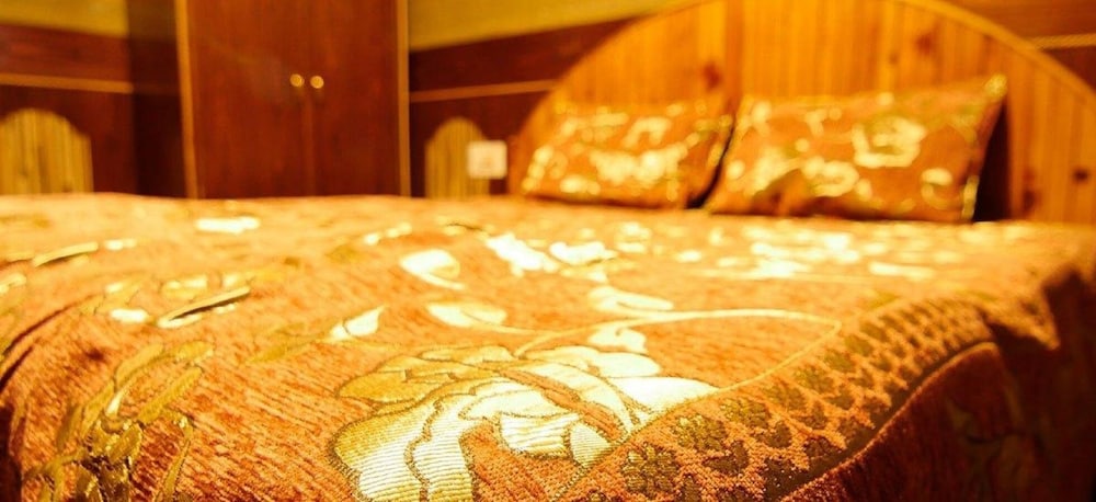 Hotel Tashila - Manali 11/17