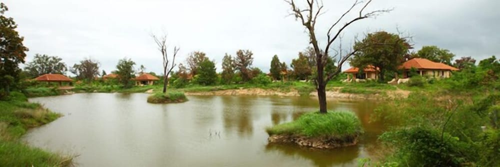 Tuli Tiger Corridor 15/23