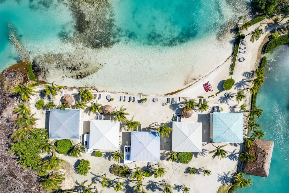 Shaka Caye 46/50