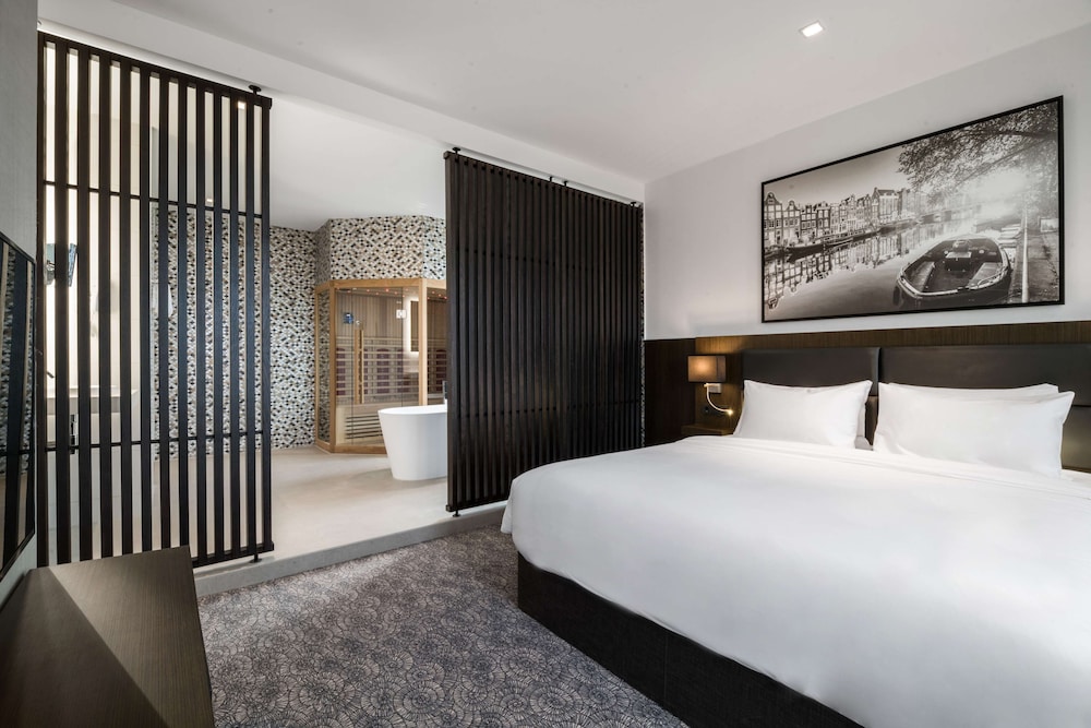 Radisson Hotel and Suites Amsterdam South 15/50