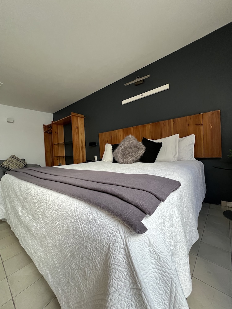 Clarum 101 24/80