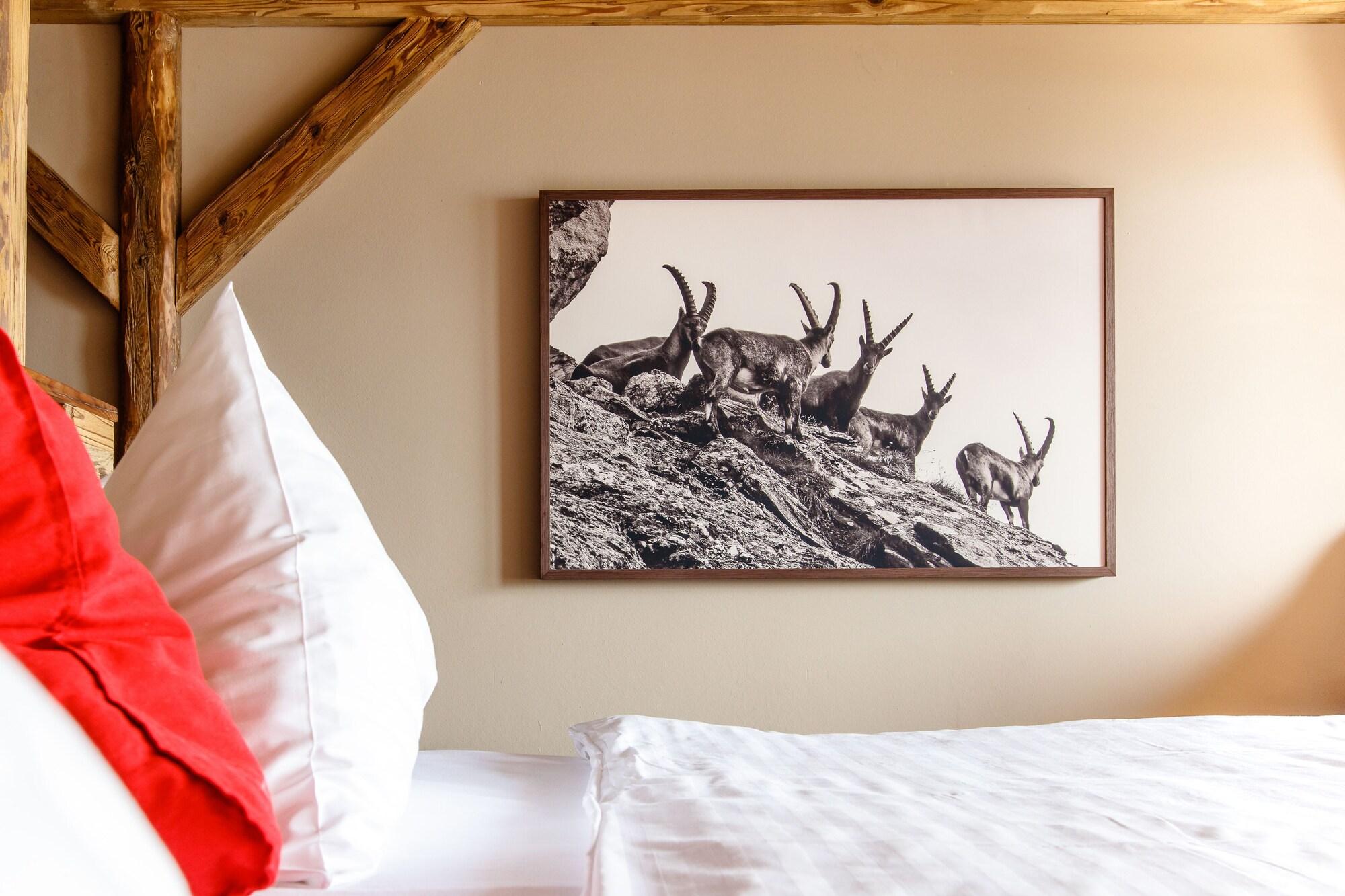 Hotel Alpenblick 18/50