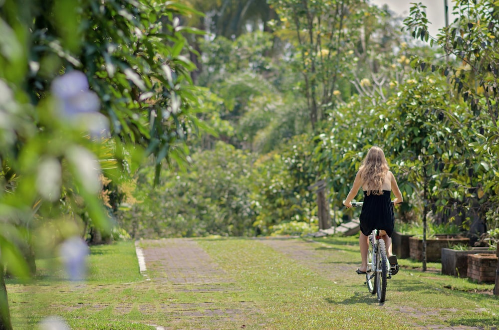 Bhuwana Ubud Hotel 40/62