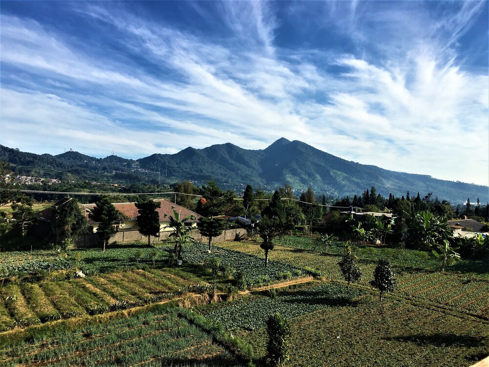 Tangko Resort - Puncak Cipanas 41/50