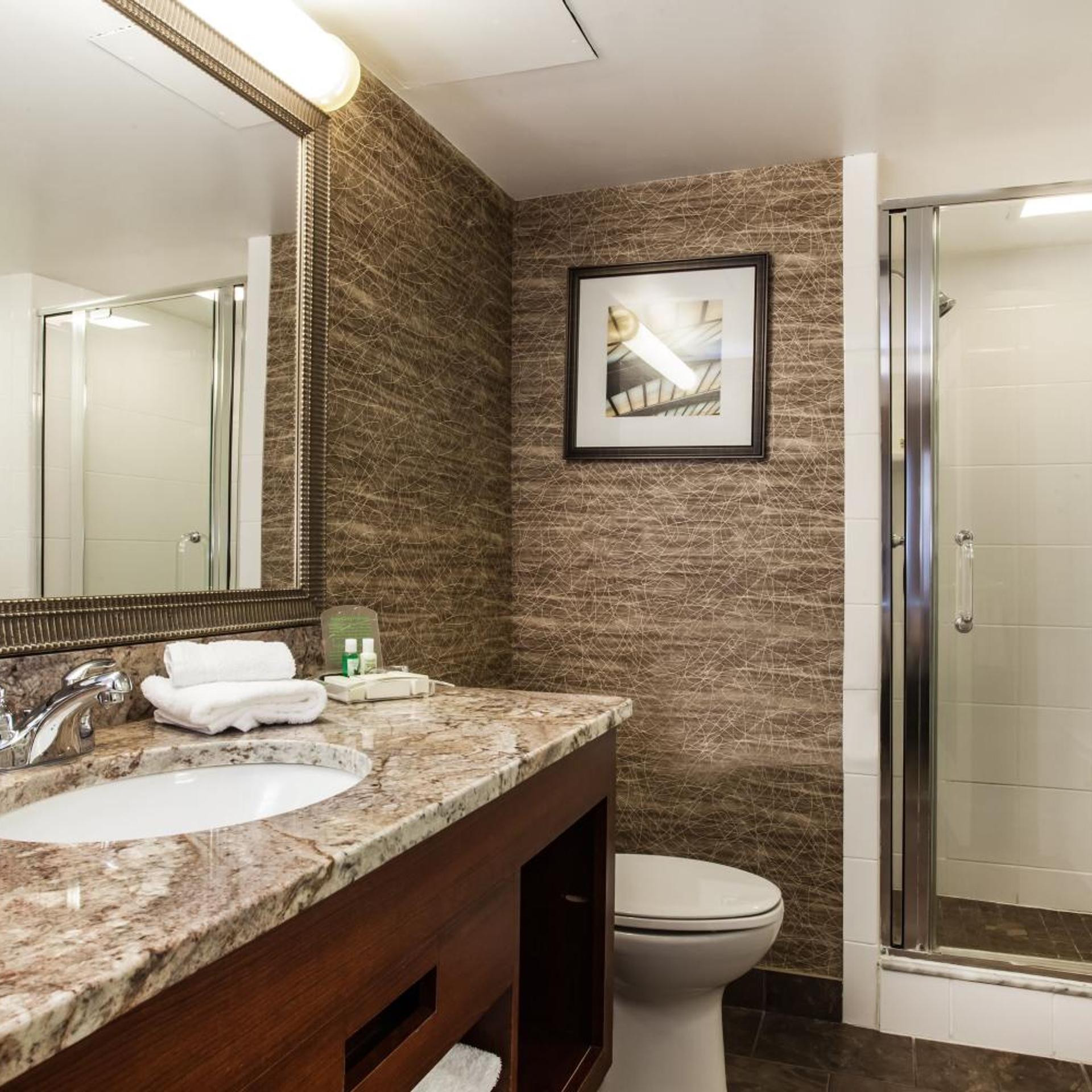 Suite, King Bed, Hot Tub, Holiday Inn Saratoga Springs 5/9
