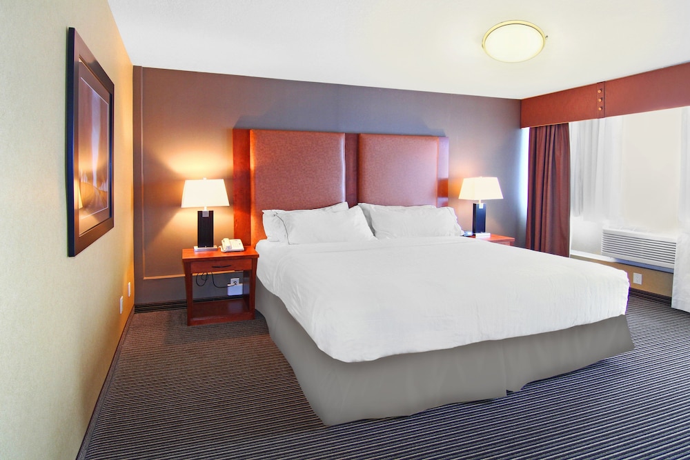 Holiday Inn Express Hotel & Suites Calgary 21/71