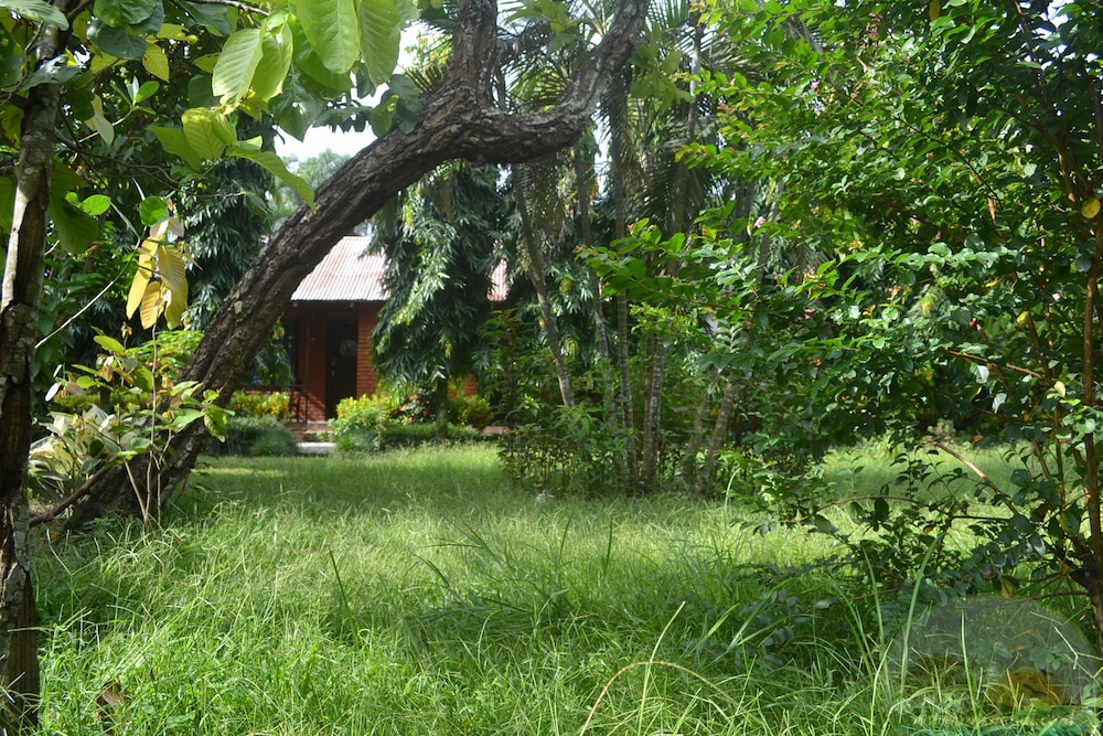 River View Jungle Camp 33/50