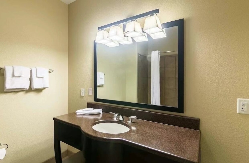 Econo Lodge Inn and Suites Colorado City, TX 43/47