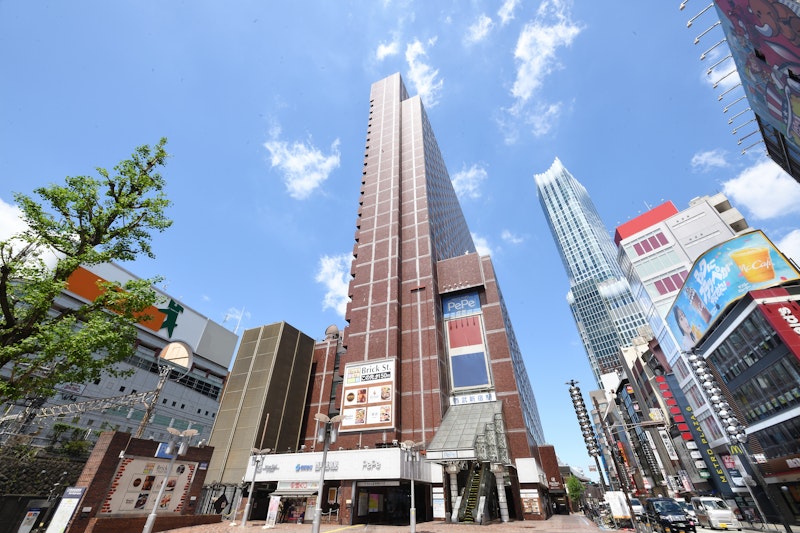 Shinjuku Prince Hotel 4/41