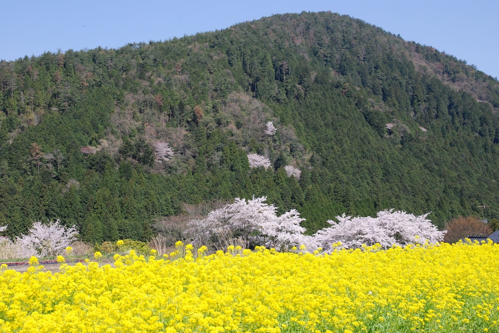 Yumoto Onsen Oharasansou 44/49