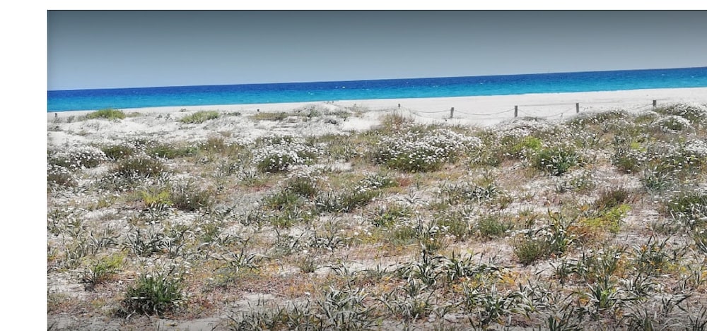 Stella Marina Camere Sul Mare 28/36