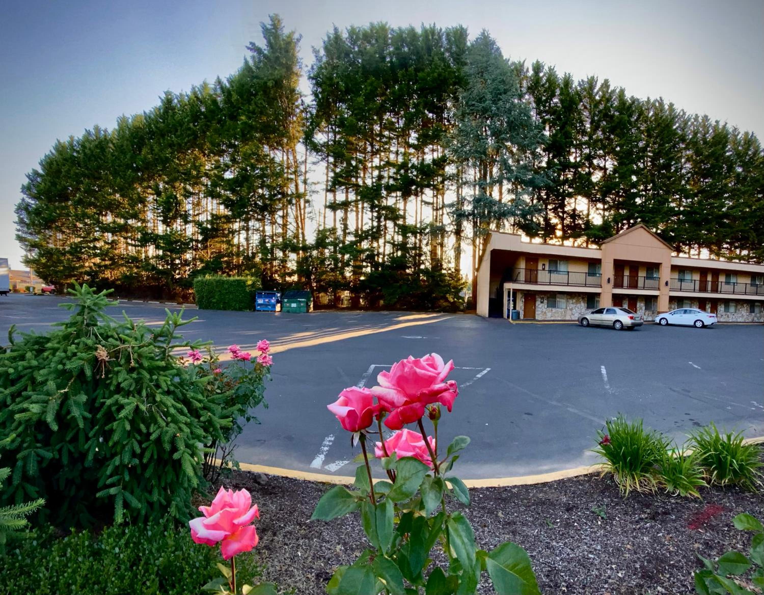McMinnville Inn 10/12