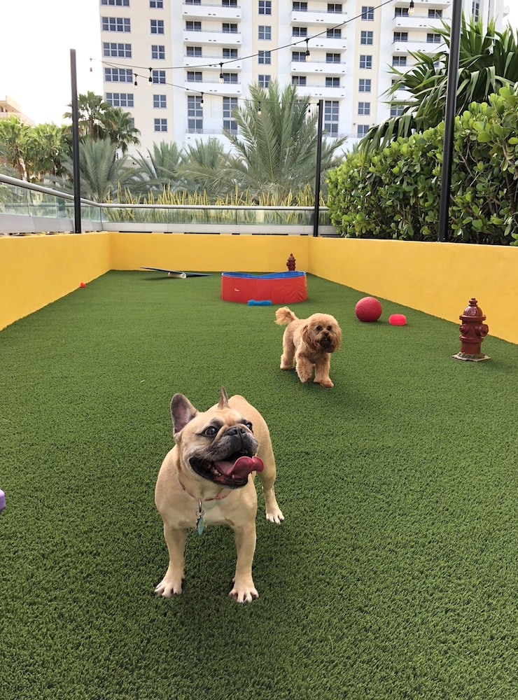 Hyatt Centric South Beach Miami 36/65