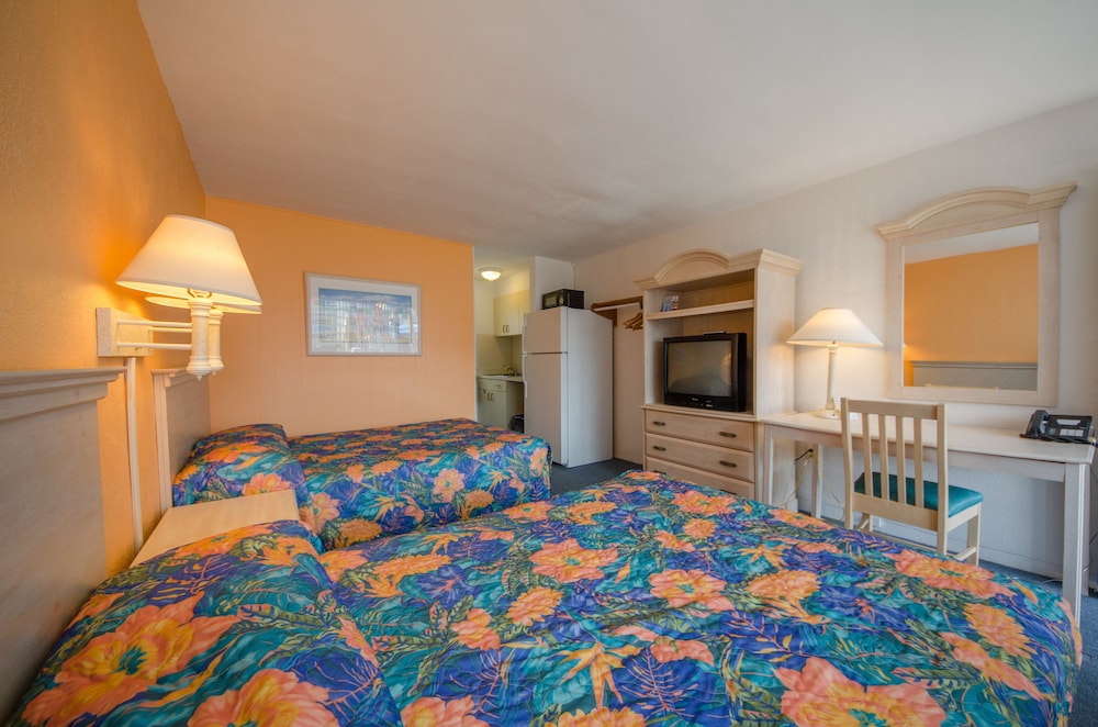 Tangiers Motel 20/59